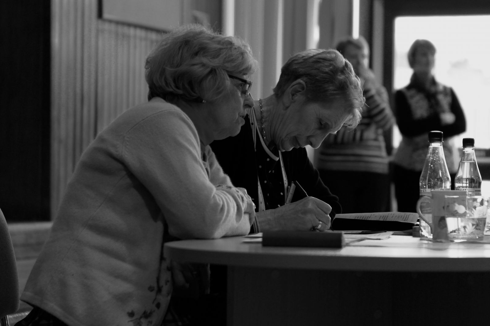 2013 Adjudicator & Scribe